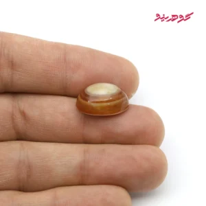 نگین باباقوری کد 163